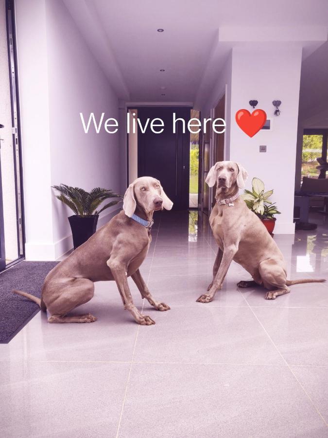 Allen Ridge ไฮต์ ภายนอก รูปภาพ